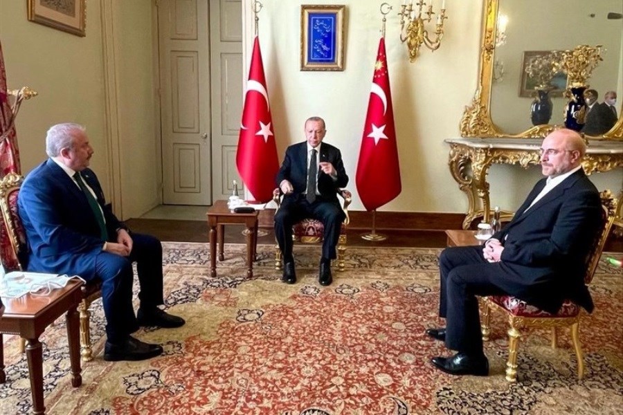 تصویر قالیباف با اردوغان دیدار کرد