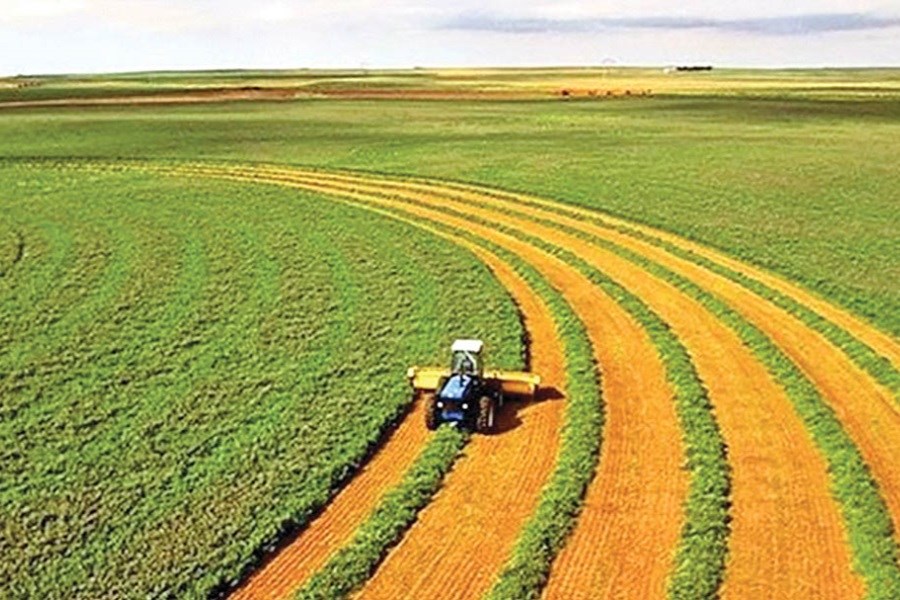 تصویر لزوم افزایش50 درصدی بودجه تحقیقات کشاورزی