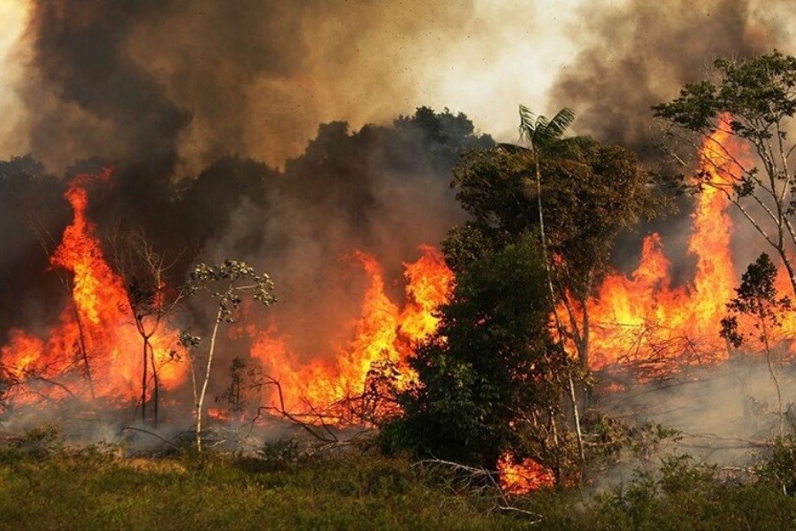 جنگل‌های گلستان شعله‌ور در آتش
