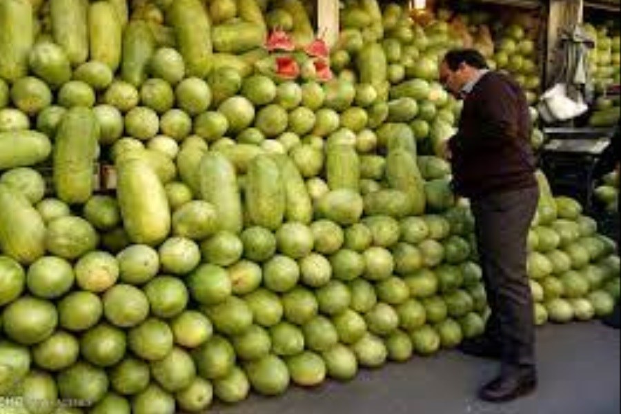 تصویر وفور هندوانه در بازار &#47; 35 درصد سود متعادل میوه فروشان