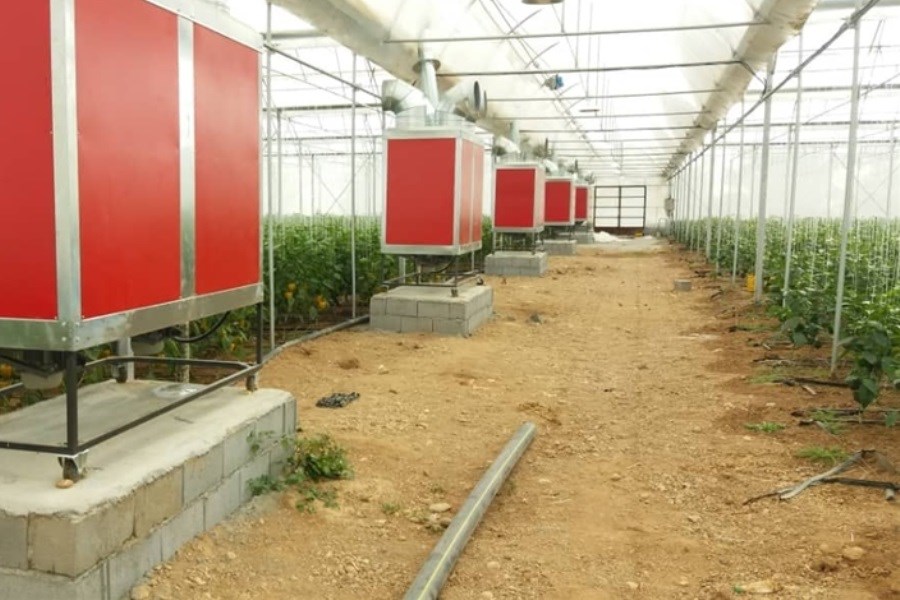 راه اندازی واحد گلخانه تولید سبزی و صیفی با مشارکت بانک کشاورزی