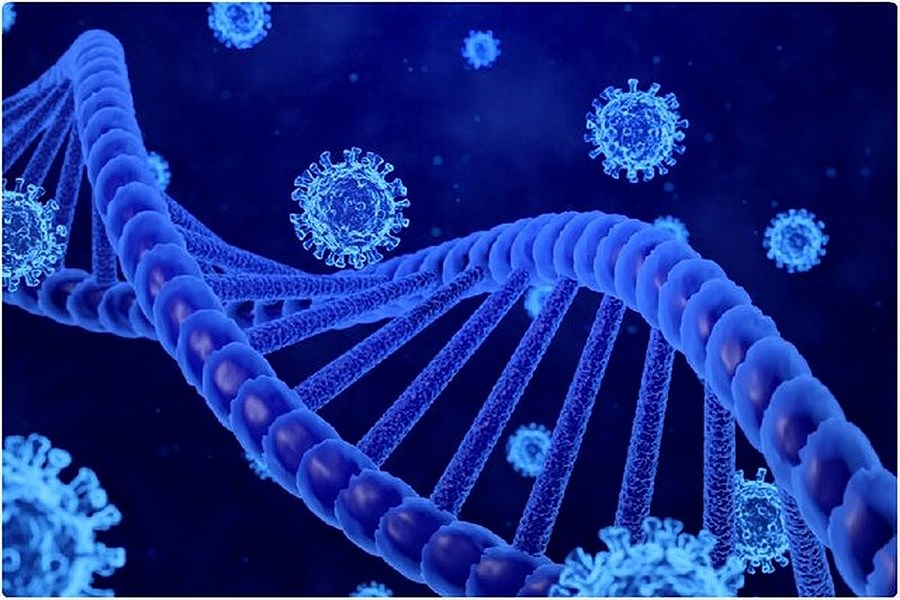تصویر ژن مهمی که در ابتلا به کووید-۱۹ شدید نقش دارد