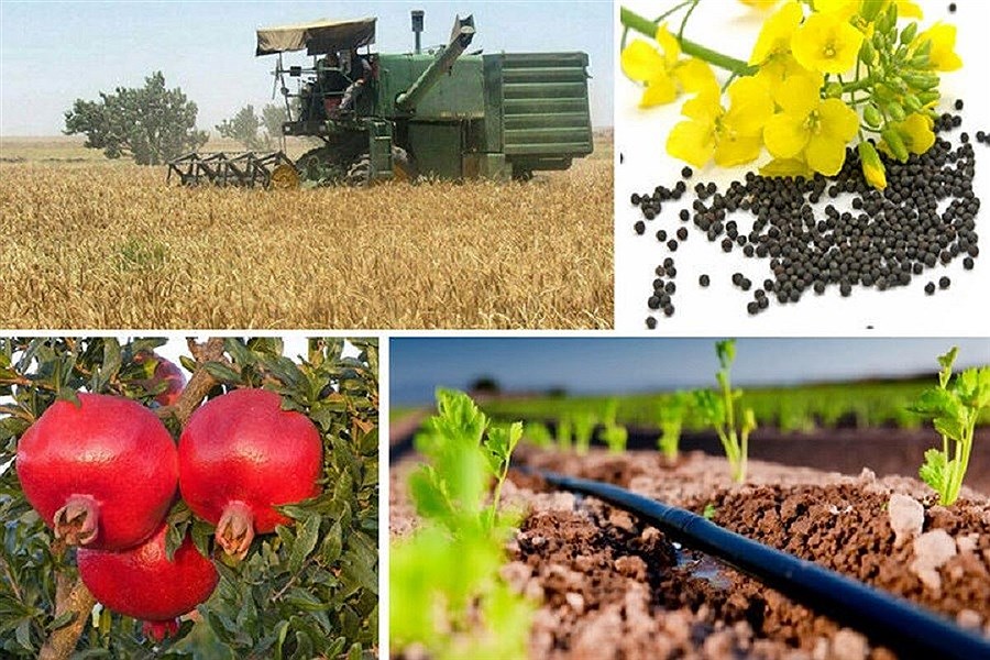 حرف دل حداقلی‌ها در برابر مرجوعیت محصولات کشاورزی ایران&#47; میوه‌های مرجوعی به بازار مصرفی باز می‌گردند؟