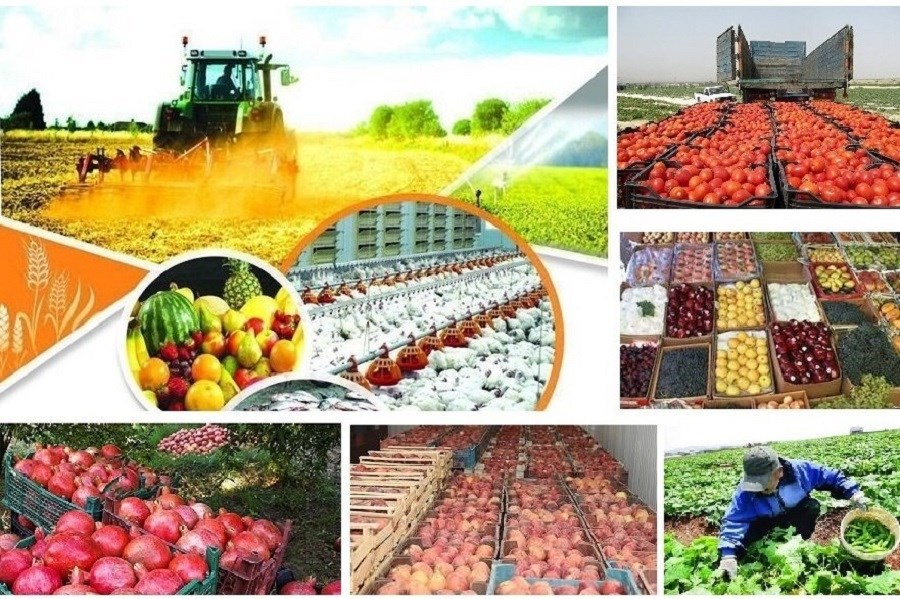 تصویر ارزآوری ۳.۴ میلیارد دلاری صادرات محصولات کشاورزی