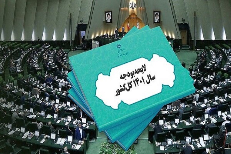 از 10 بهمن مجلس وارد بررسی جزییات بودجه می‌شود