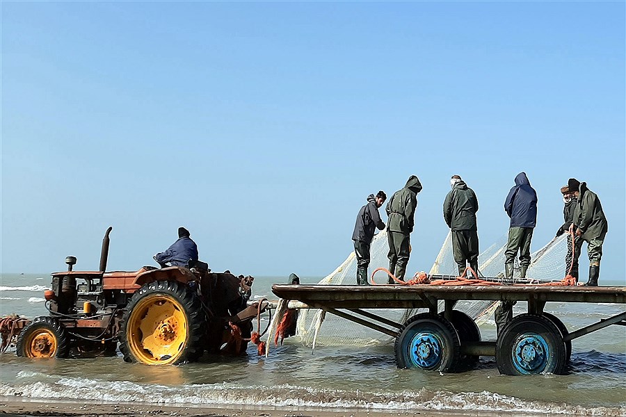 صید ماهی در شمال ایران از لنز دوربین پرسون