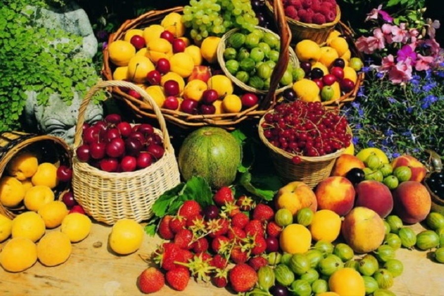 کدام ویتامین‌ها با خشک کردن میوه از بین می‌روند؟