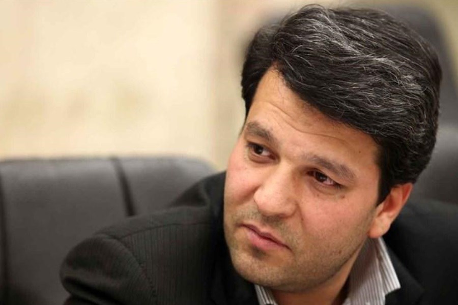واکنش رئیس سازمان سینمایی به رفتار هنجارشکنانه سینماگران ایران در جشنواره کن