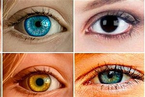 ۳ ورزش‌ ساده برای بهبود بینایی و جلوگیری از پیرچشمی