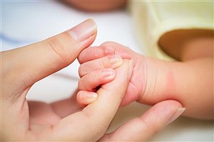 آمار ولادت در استان همدان نزولی شد