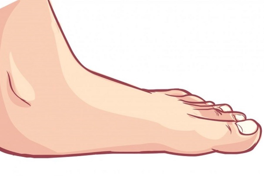 تصویر تشخیص سلامت داخلی بدن از روی پاها