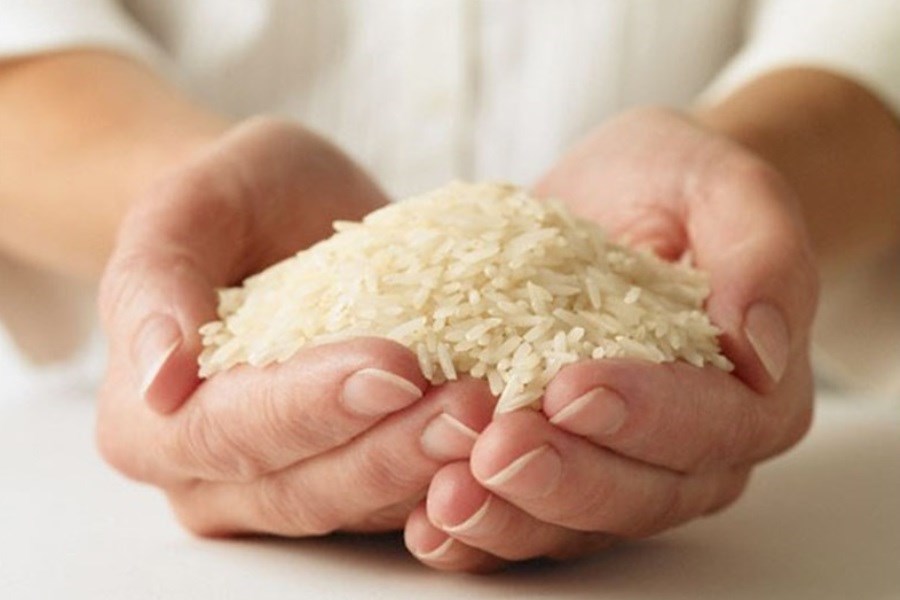 آغاز عرضه اینترنتی برنج ایرانی