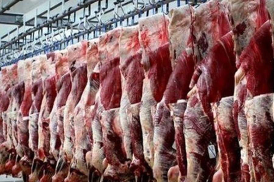 مردم توانایی خرید گوشت بالای ۱۵۰ هزار تومان را ندارند