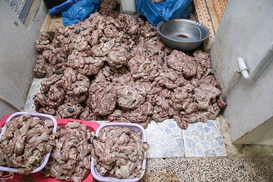 تصویر کشف ۶ تن گوشت و مرغ غیربهداشتی در غرب تهران