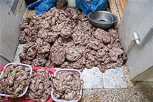 کشف ۶ تن گوشت و مرغ غیربهداشتی در غرب تهران