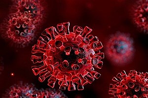 شناسایی نوع جدید ویروس کرونا