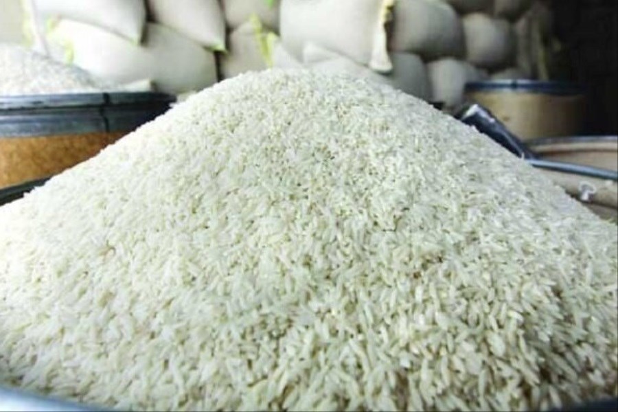 تصویر چرا کشاورزان برنج نمی فروشند؟