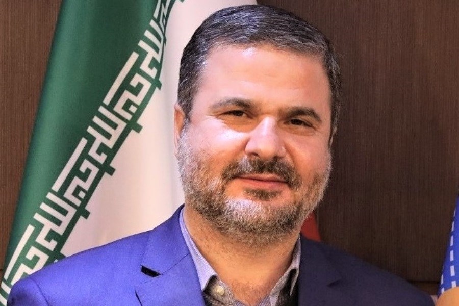 تصویر مدیرعامل بیمه ایران عضو اصلی هیأت بدوی رسیدگی به تخلفات اداری کارمندان وزارت اقتصاد شد