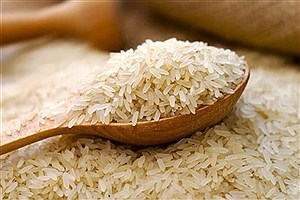 یک میلیون تن برنج مورد نیاز وارد کشور شد
