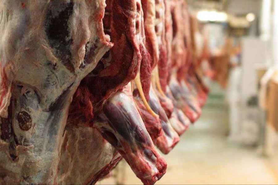 تصویر وضعیت عجیب در بازار گوشت قرمز