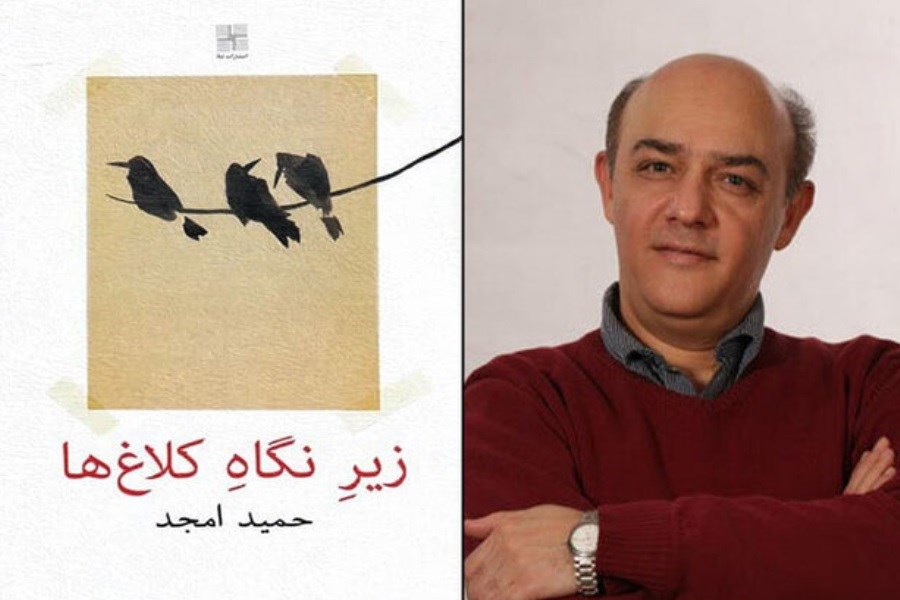 «زیر نگاه کلاغ ها» رمان جدید حمید امجد