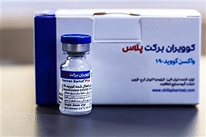 واکسن ایرانی اُمیکرون به 210 داوطلب تزریق شد