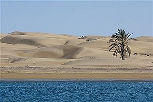 این سواحل زیبا آماده استقبال از مسافران نوروزی است!