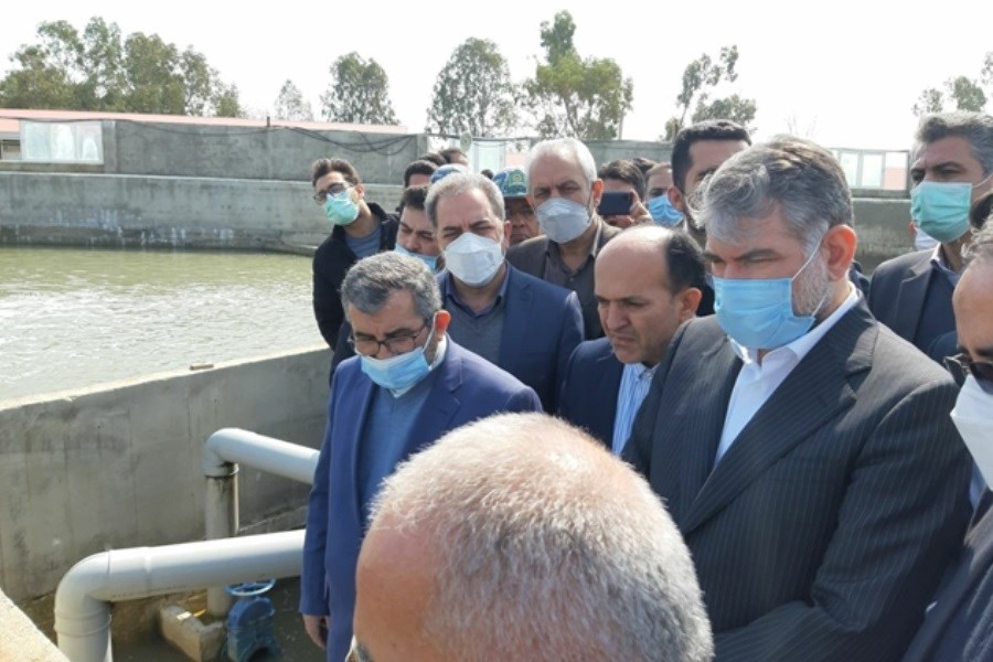 تصویر بازدید وزیر جهاد کشاورزی از طرح پرورش و تولید ماهیان خاویاری