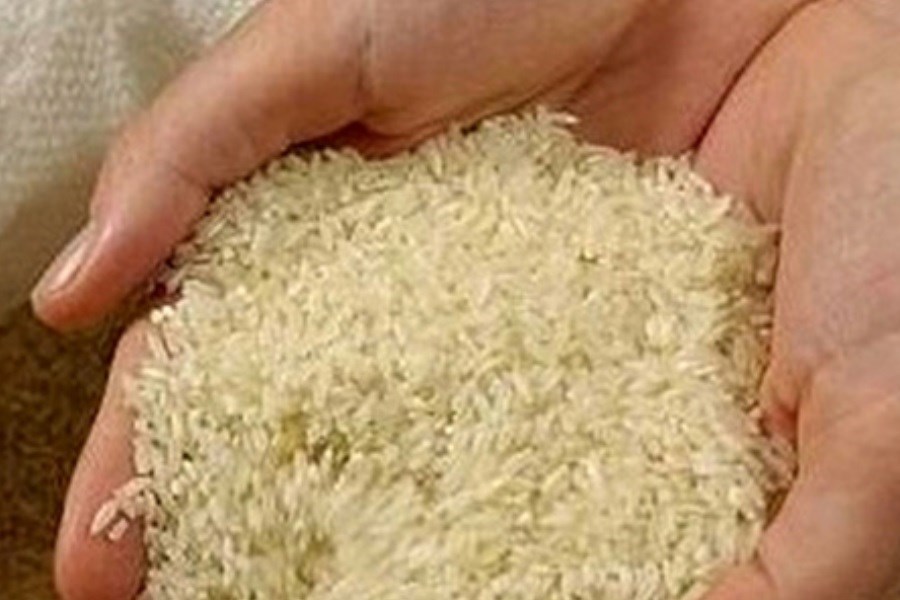 افزایش احتمالی قیمت برنج