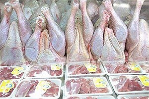 توزیع گوشت قرمز و سفید تنظیم بازار در خراسان رضوی آغاز شد