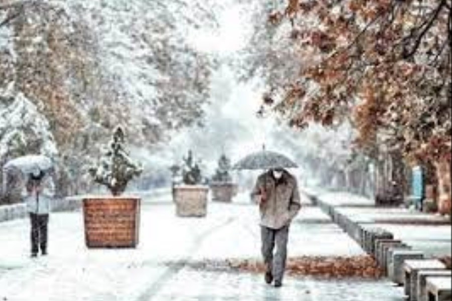 از سفرهای غیرضروری اجتناب کنید