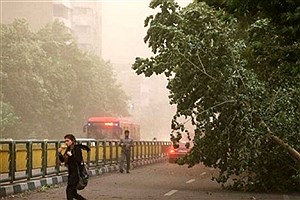 طوفان در تهران و البرز ١١ نفر را به بیمارستان فرستاد