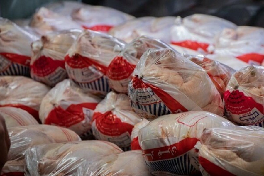 تصویر قیمت مرغ بین 30 تا 37 هزار تومان