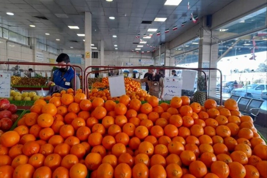 تصویر قیمت پرتقال در میادین میوه و تره بار ارزان تر از نوروز ۱۴۰۰