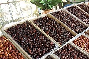 قیمت انواع خرما در میادین میوه و تره بار تهران