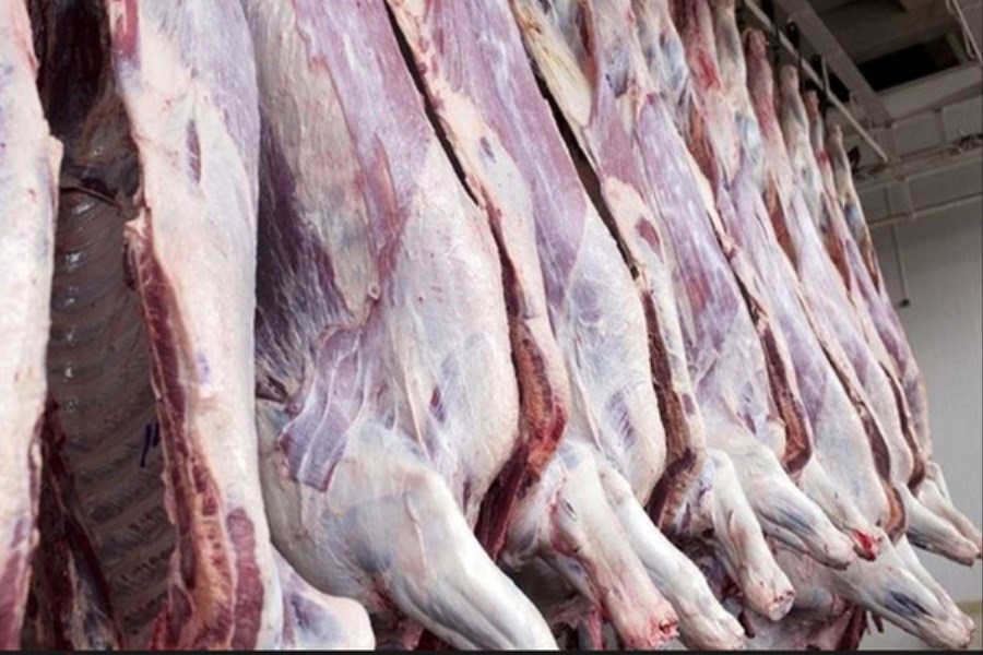 تصویر کاهش ۵۰ درصدی مصرف گوشت قرمز