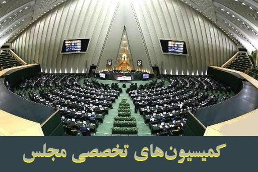 تصویر حضور امیرعبداللهیان در مجلس