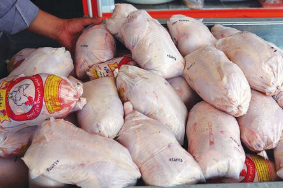 گرانی قیمت مرغ در بازار