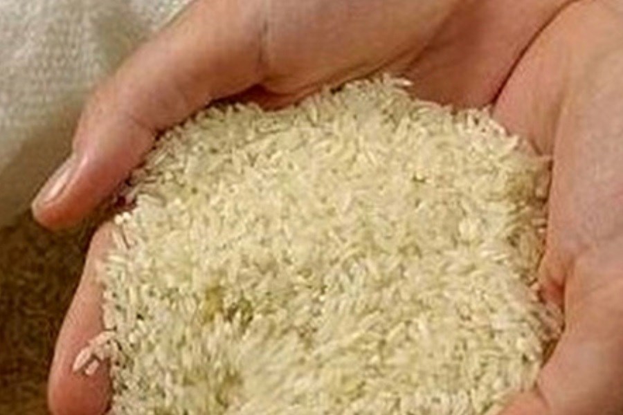 تصویر کشف ۲هزار تن برنج احتکار شده در تهران