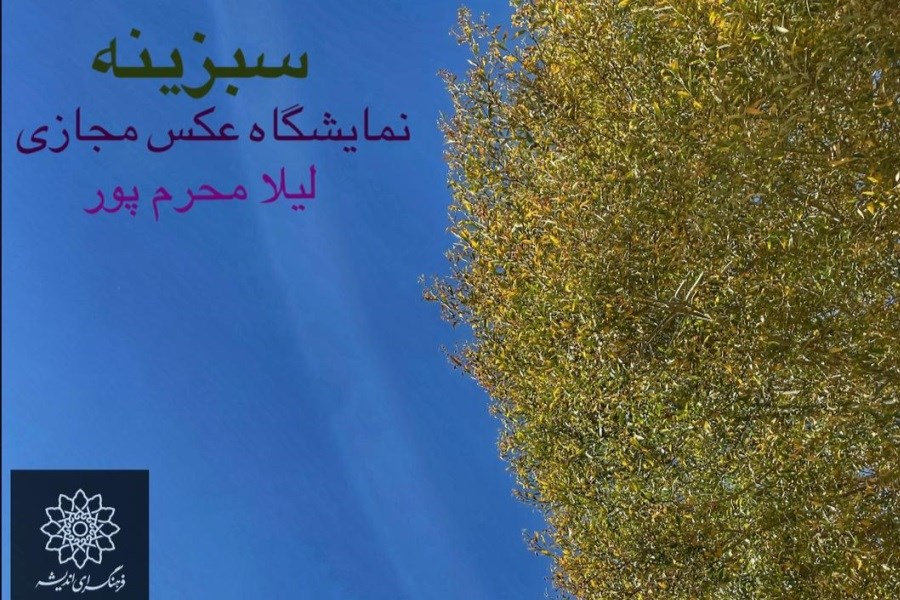 «سبزینه» نخستین نمایشگاه انفرادی عکس لیلا محرم پور