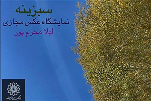 «سبزینه» نخستین نمایشگاه انفرادی عکس لیلا محرم پور