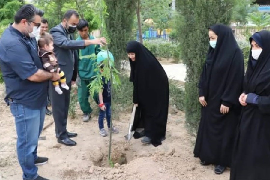 تصویر طرح هر نوزاد یک درخت در تهران اجرا شد