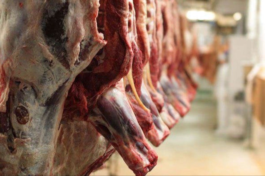 تصویر جدیدترین قیمت گوشت قرمز در بازار اعلام شد