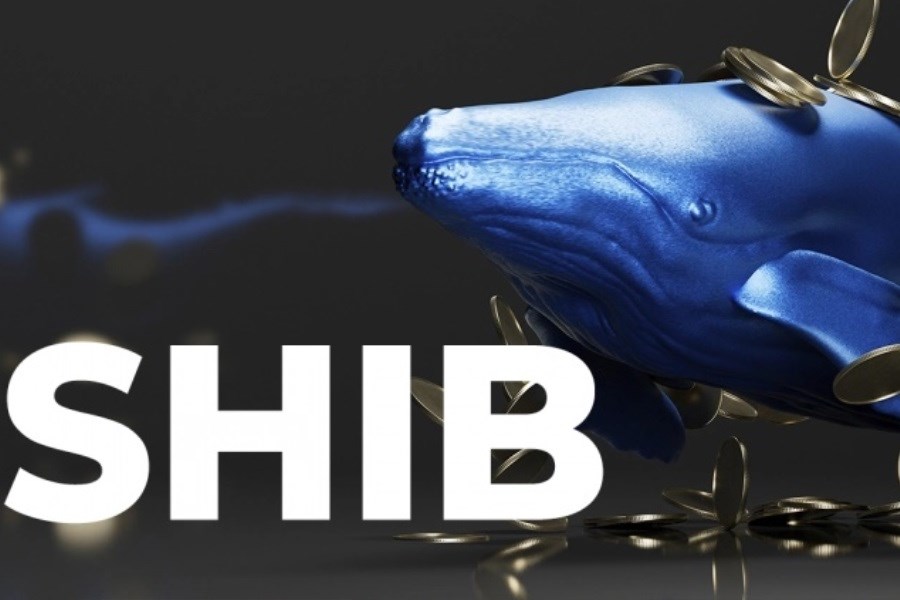تصویر خریداری 130.5 میلیارد واحد SHIB توسط دو نهنگ اتریوم