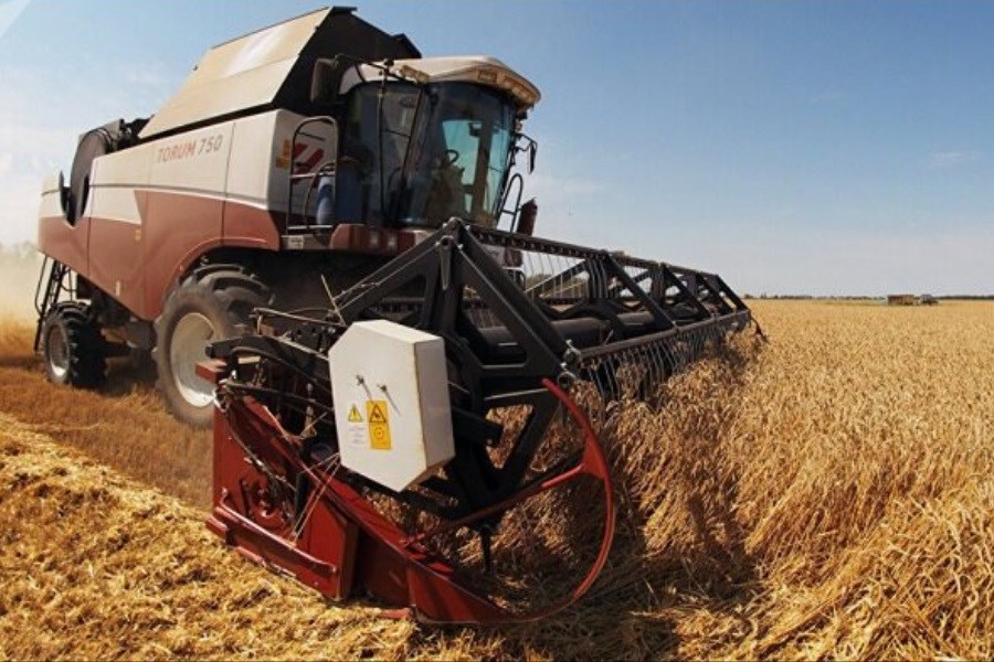 تصویر اوکراین ۱۸.۵ میلیون تن گندم صادر کرد