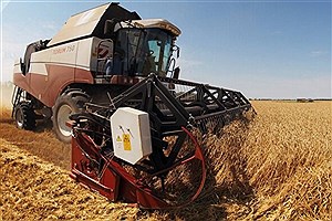 اوکراین ۱۸.۵ میلیون تن گندم صادر کرد
