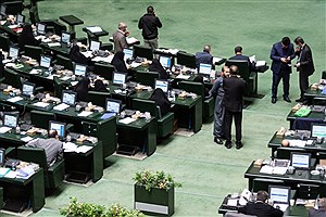 ورود مجلس به ماجرای مرگ توله‌های یوزپلنگ‌ ایران
