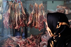 ماجرای و حواشی توزیع گوشت الاغ و اسب&#47; عضو کمیسیون کشاورزی بی خبر است