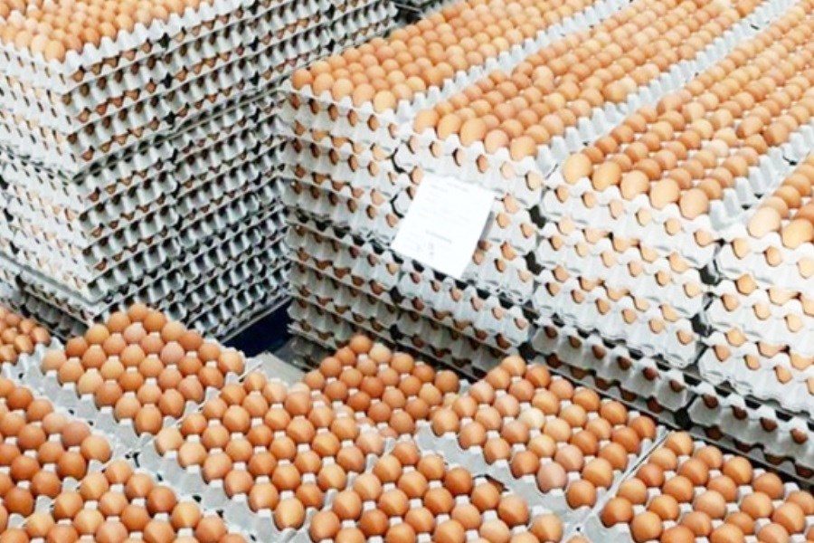 عرضه تخم‌مرغ با قیمت‌های مصوب&#47; تخم‌مرغ مورد نیاز کشور تامین است