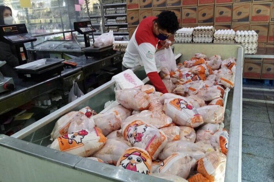 تصویر قیمت جدید گوشت مرغ در بازار اعلام شد